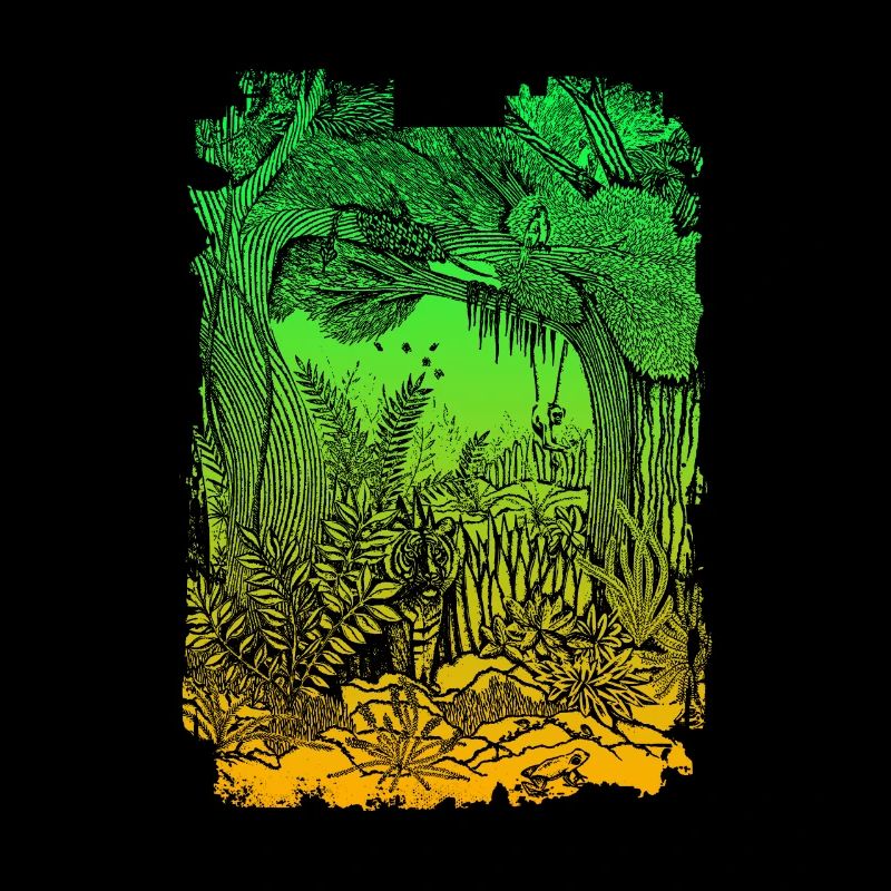 Jungle Rainforest Conservation Amazon