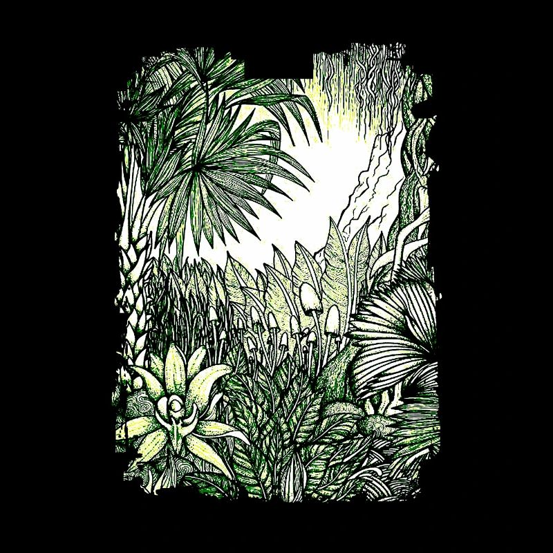 Jungle Rainforest Conservation Amazonas Nature