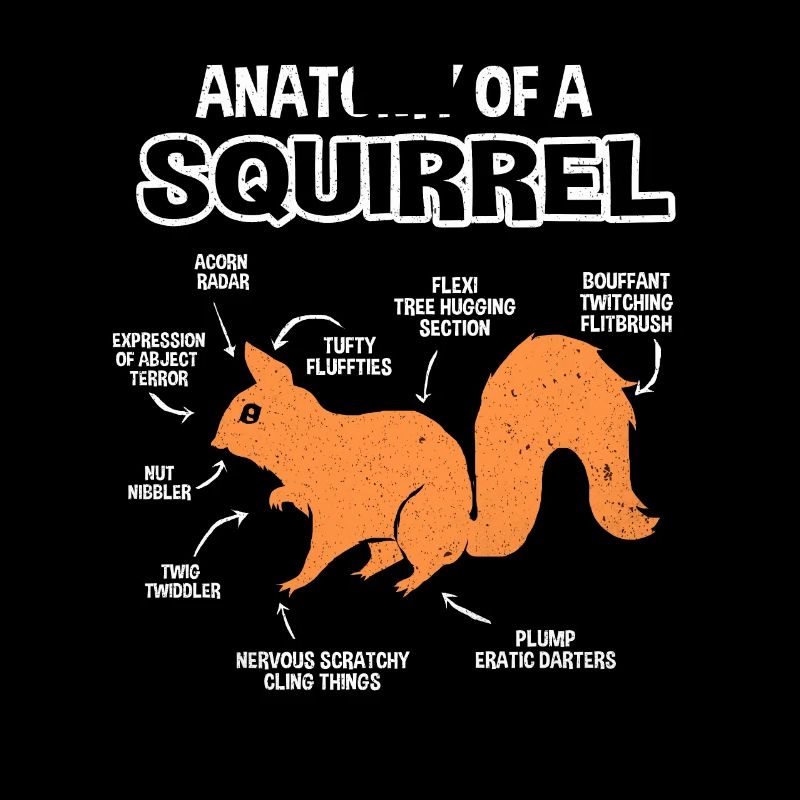 Squirrel
