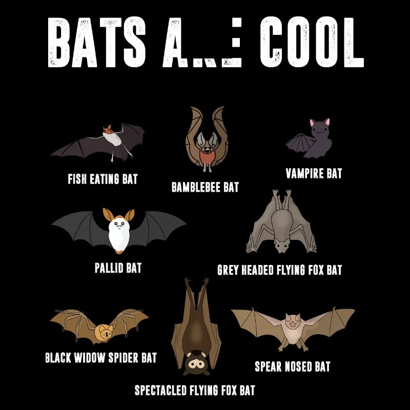 Fledermäuße sind cool, Vampire Fledermaus, Schule