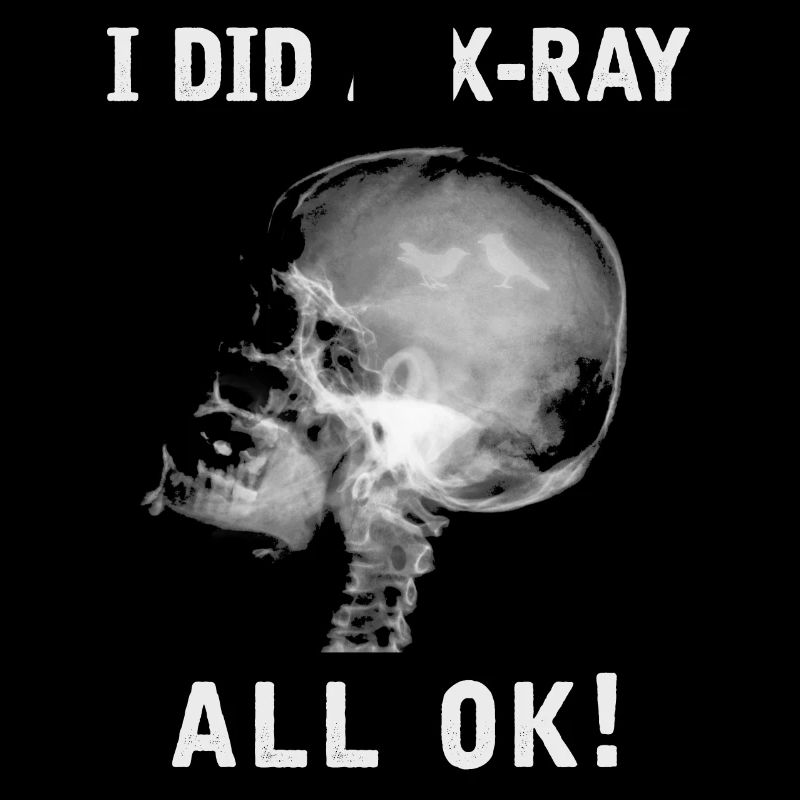 I did an X Ray , all ok, birds in head