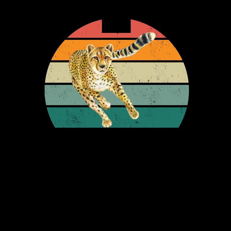 big cats speed fast hunter cheetah