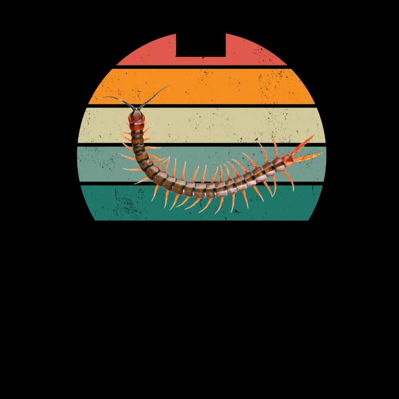 Insect, Crawling, Flying, Wings, Ants, Insects