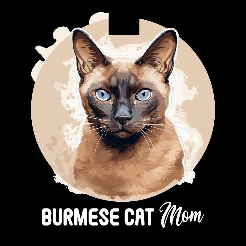 Chat birman Birmanie Katze