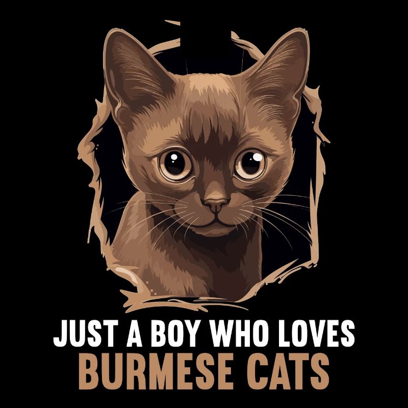 Chat birman Birmanie Katze
