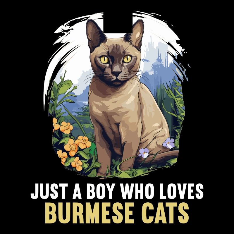 Chat birman Birmanie Katze