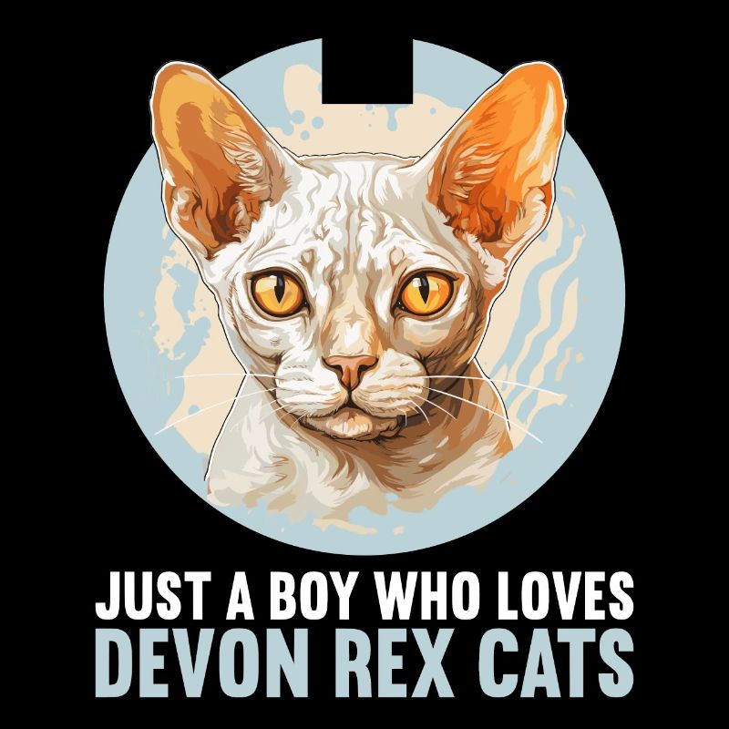 Devon Rex Kätzchen Devon Rex Katze