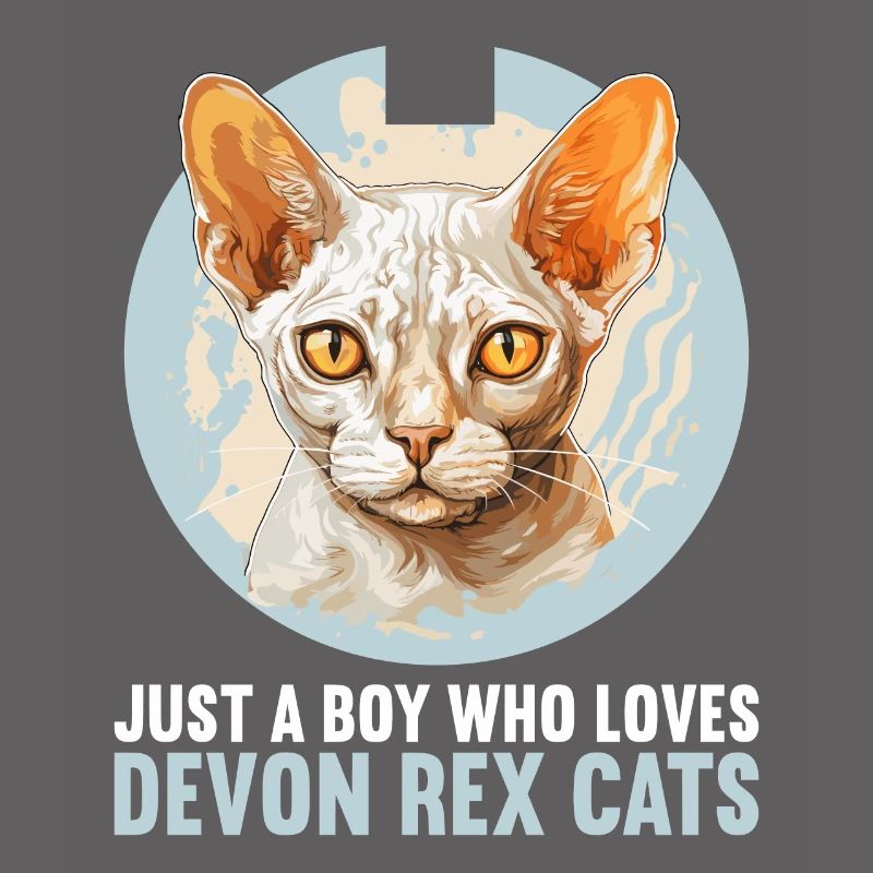 Chaton Devon Rex Chat Devon Rex