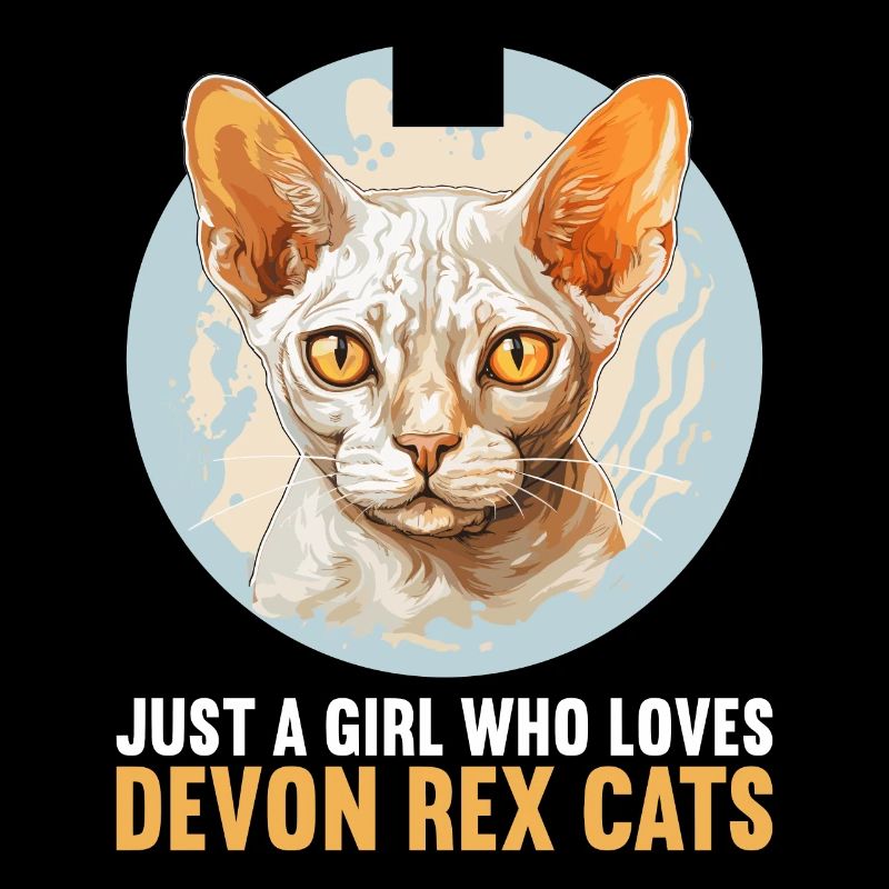 Devon Rex Kätzchen Devon Rex Katze