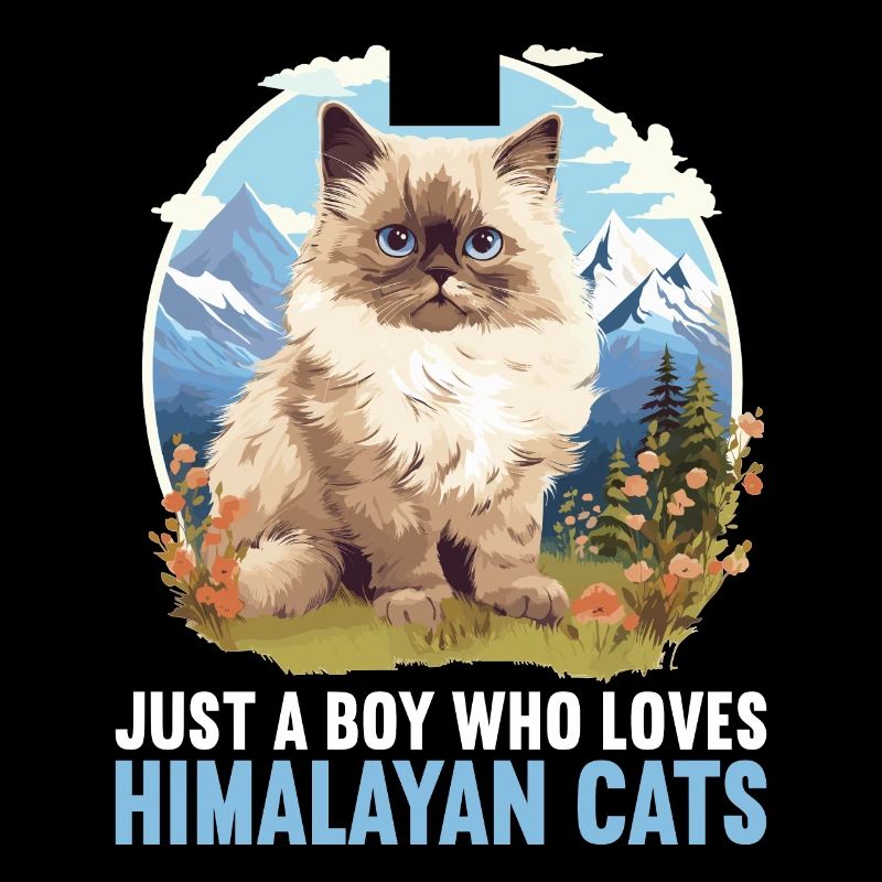 Chat de l’Himalaya Colourpoint Katze