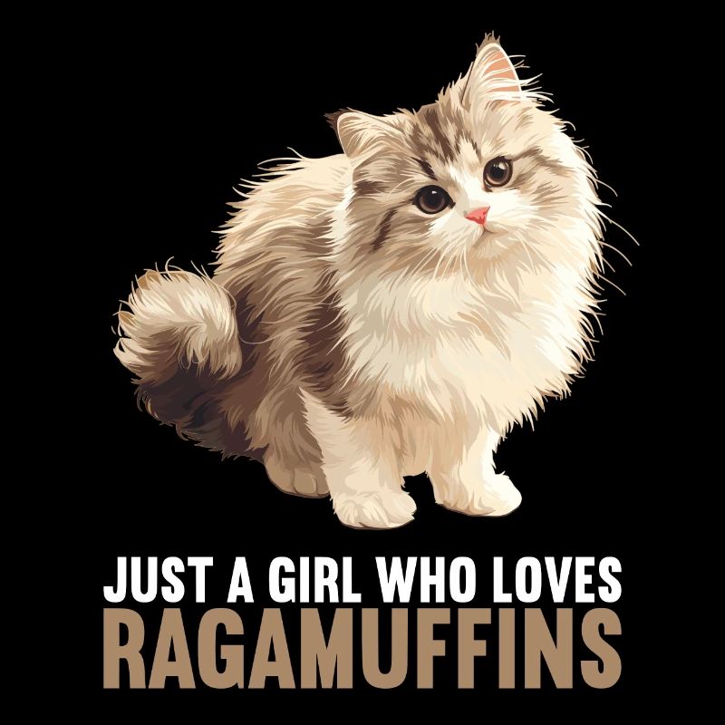 Ragamuffin Chaton Ragamuffin Chat