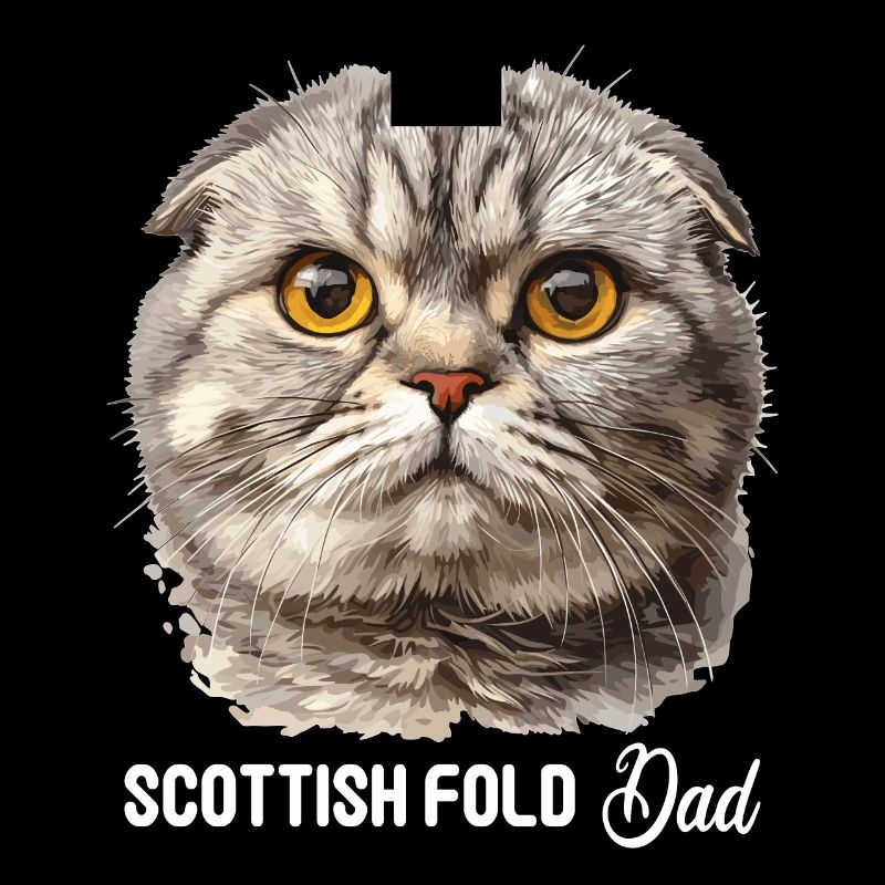 Scottish Fold Kitten Scottish Fold Cat