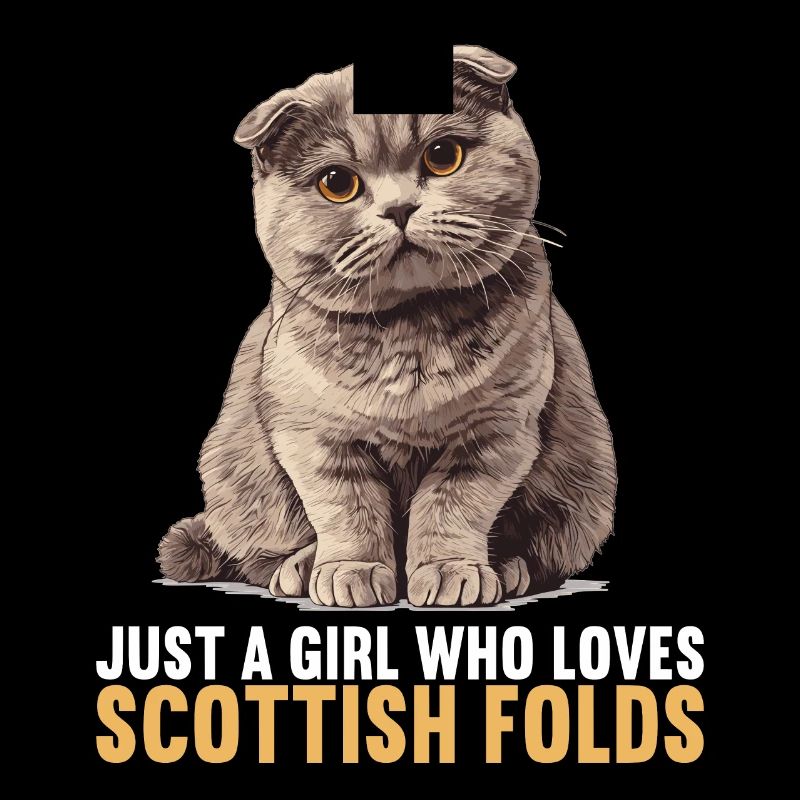 Scottish Fold Kitten Scottish Fold Cat