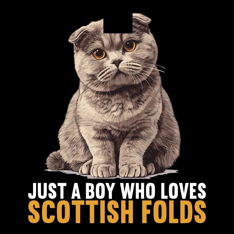 Scottish Fold Kitten Scottish Fold Cat