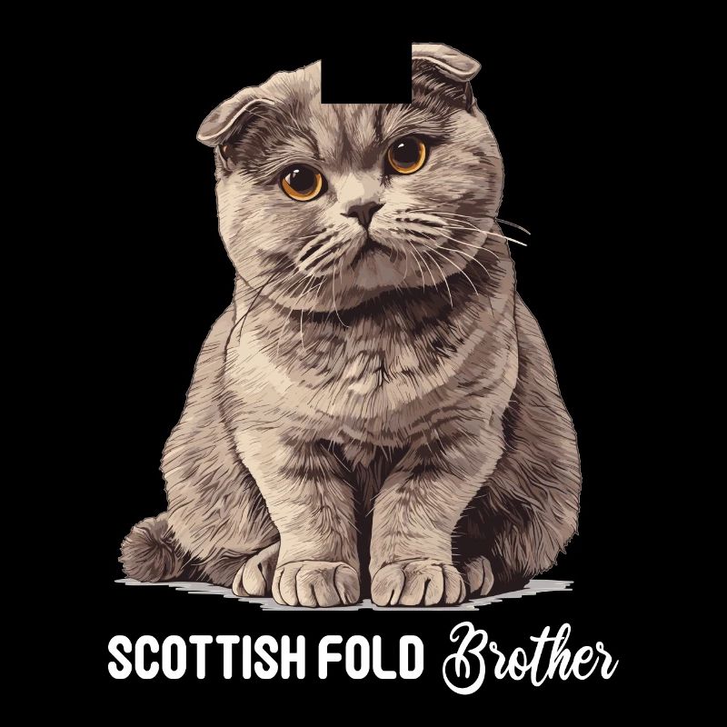 Scottish Fold Kitten Scottish Fold Cat