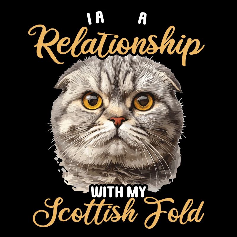 Scottish Fold Kitten Scottish Fold Cat