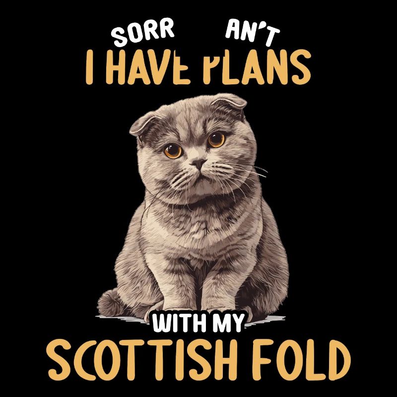 Scottish Fold Kitten Scottish Fold Cat