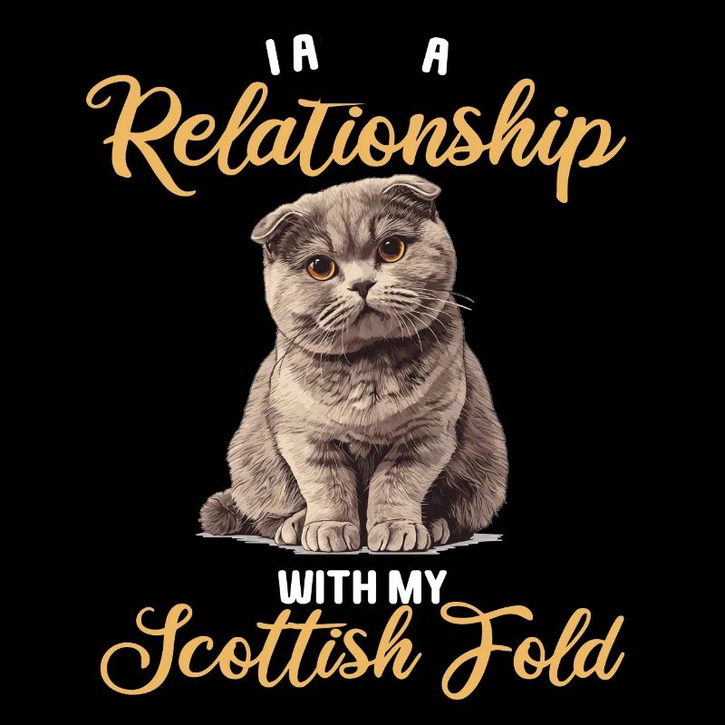 Scottish Fold Kitten Scottish Fold Cat