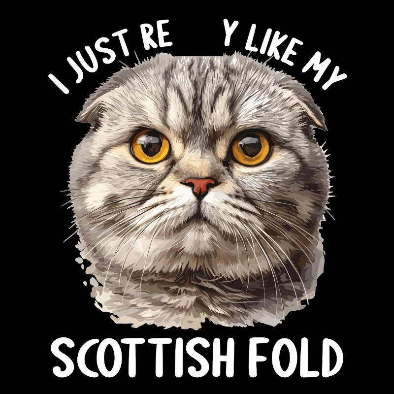 Scottish Fold Kitten Scottish Fold Cat