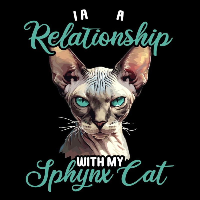 Chaton Sphynx Chat Sphynx
