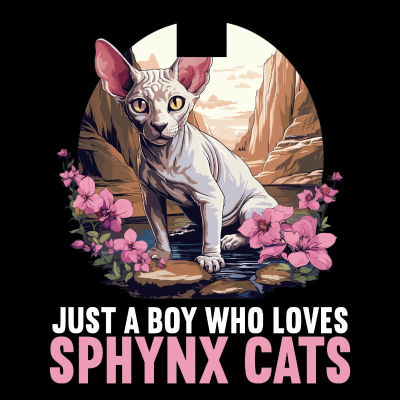 Chaton Sphynx Chat Sphynx