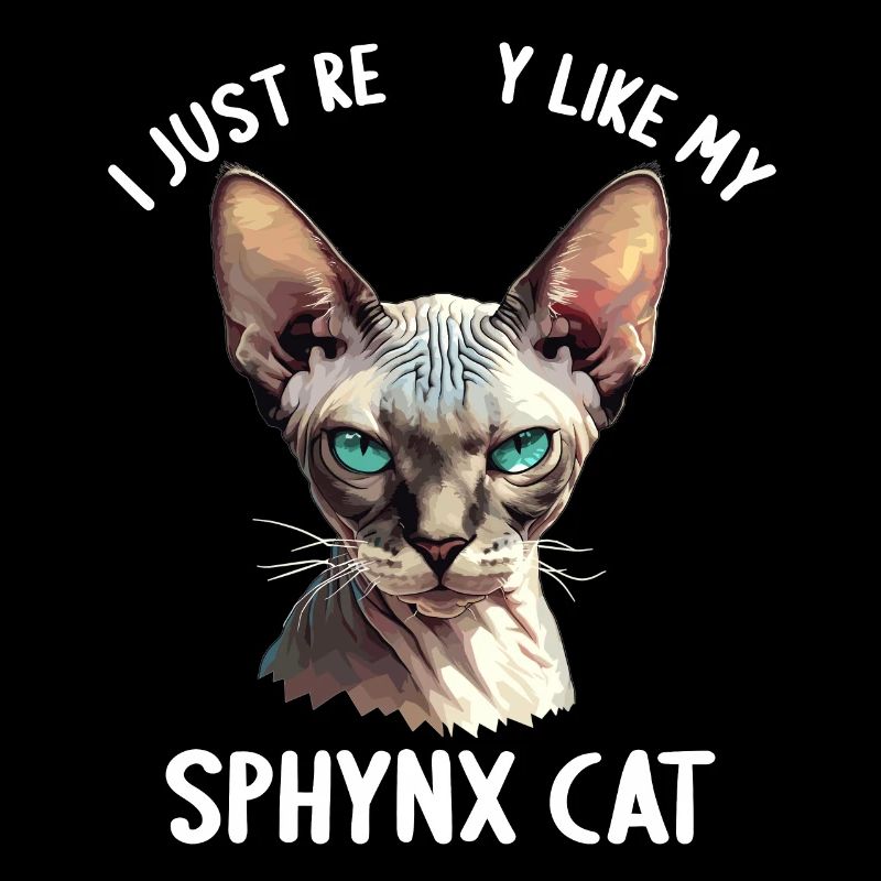 Chaton Sphynx Chat Sphynx