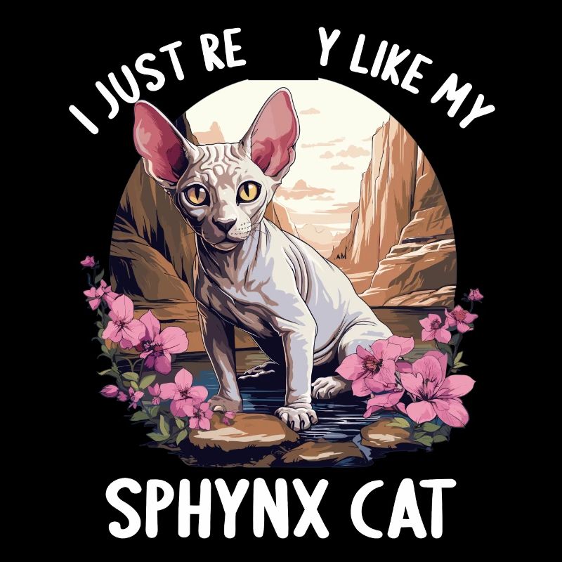 Chaton Sphynx Chat Sphynx