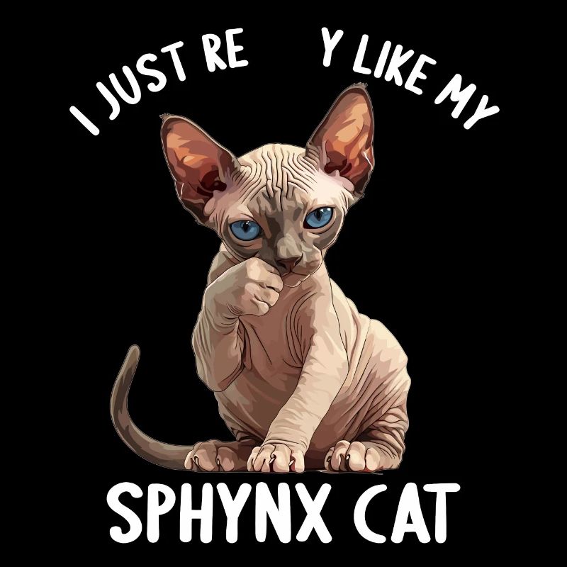 Sphynx Kitten Sphynx Cat