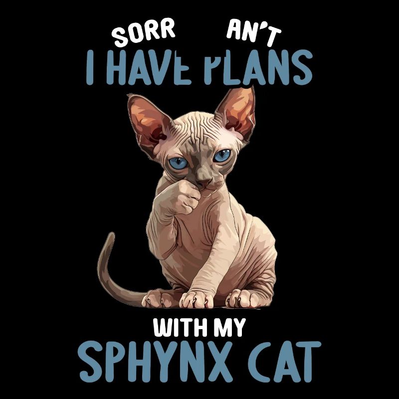 Sphynx Kitten Sphynx Cat