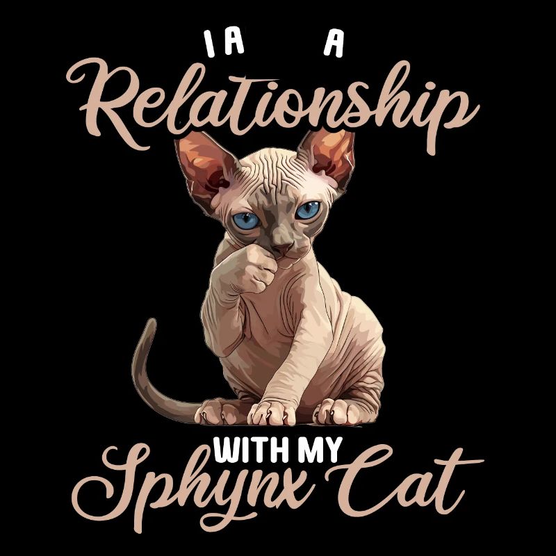 Sphynx Kitten Sphynx Cat