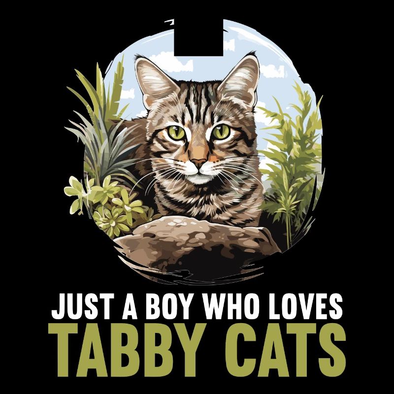 Tabby Kätzchen Tabby Katze