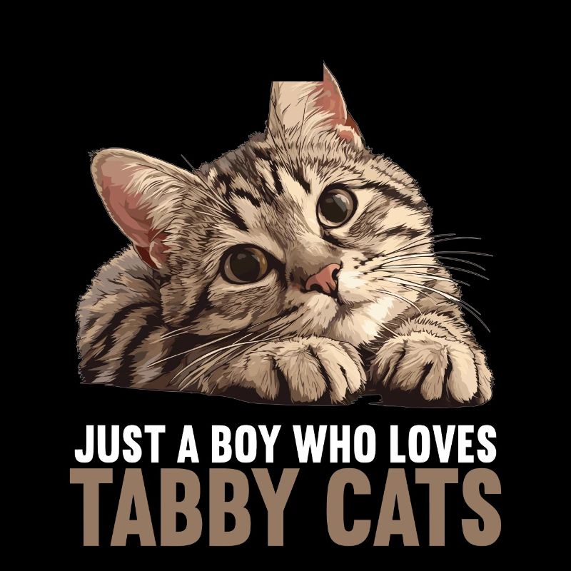 Tabby Kitten Tabby Cat