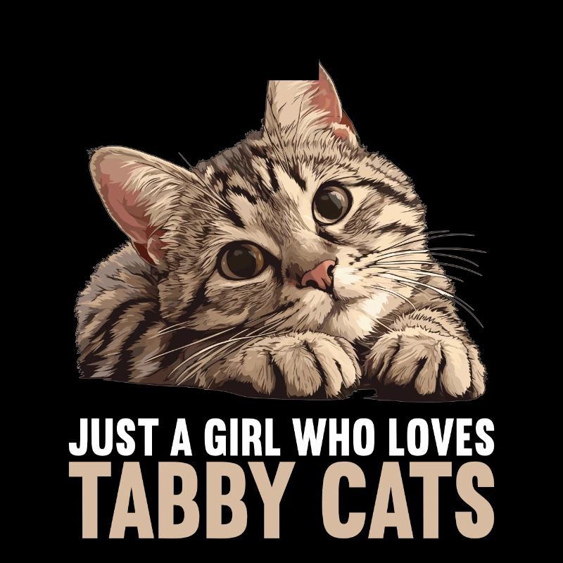 Tabby Kätzchen Tabby Katze