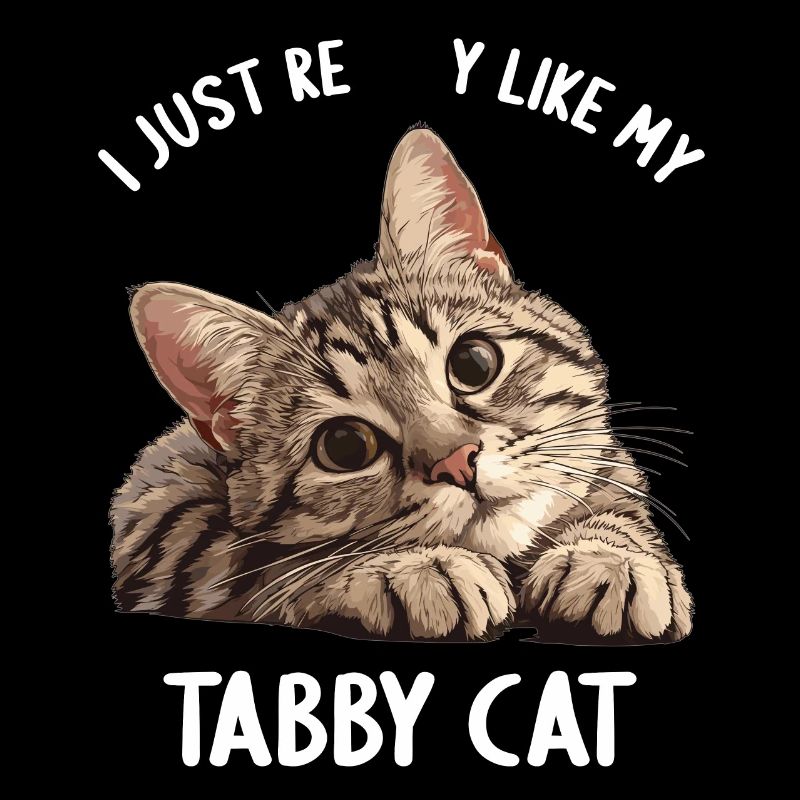 Tabby Kätzchen Tabby Katze