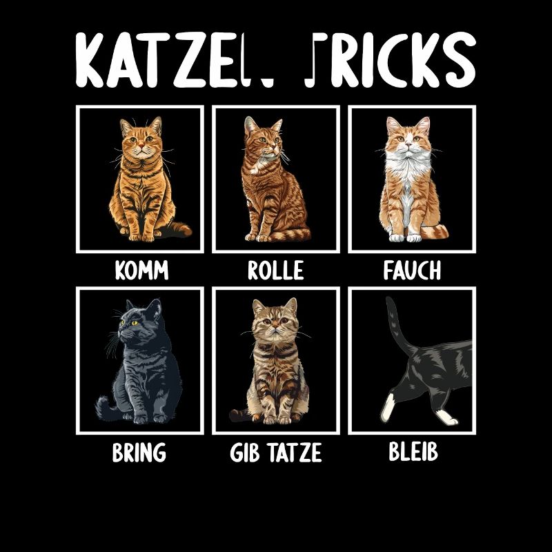 Chat Chats Astuces Chats Drôles
