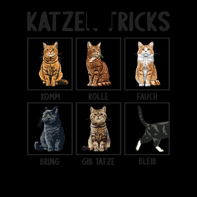 Chat Chats Astuces Chats Drôles