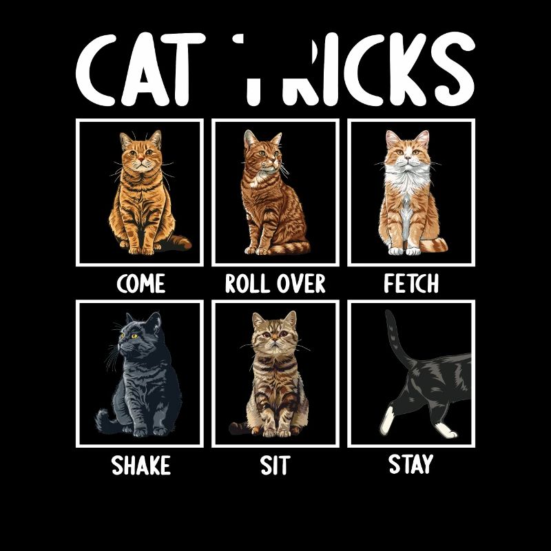 Chat Chats Astuces Chats Drôles