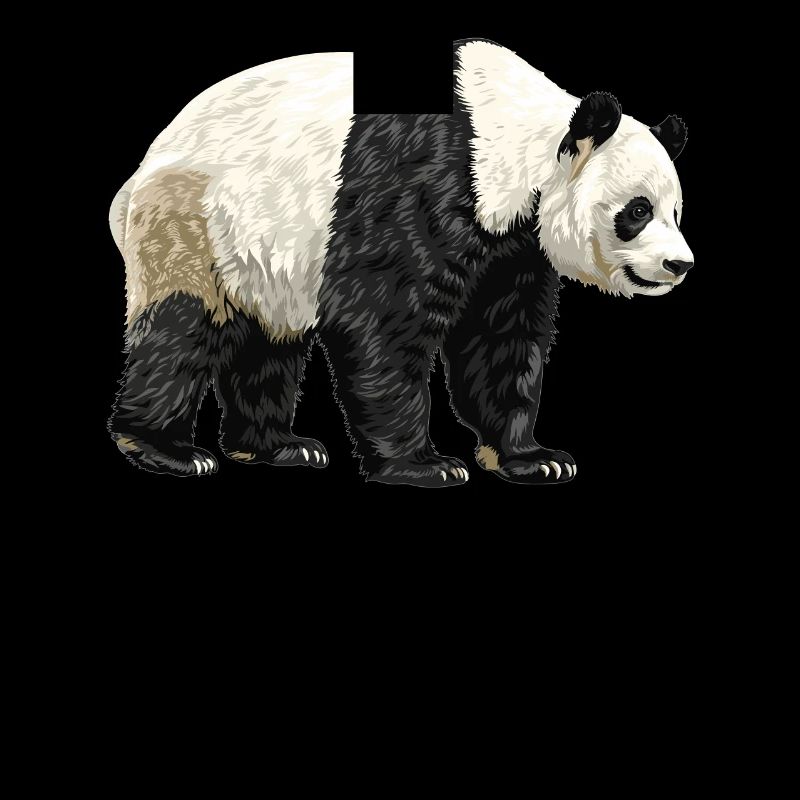 Panda géant Pandas Große Pandas Großer Panda