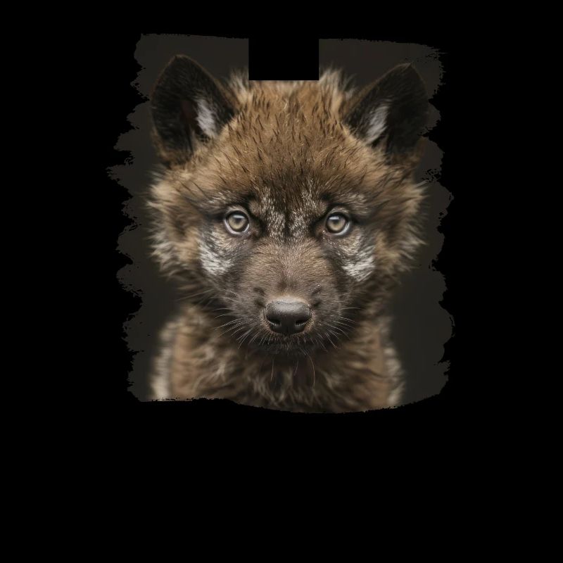 Loups Loup