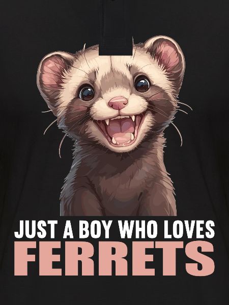 Furet Frettchen