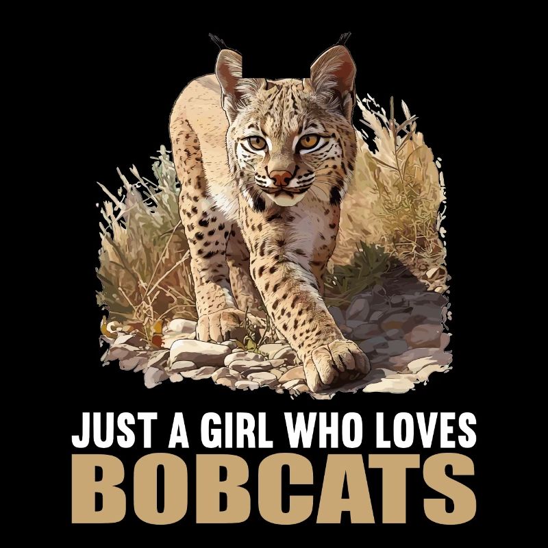 Bobcats Rotluchse Rotluchs Luchs