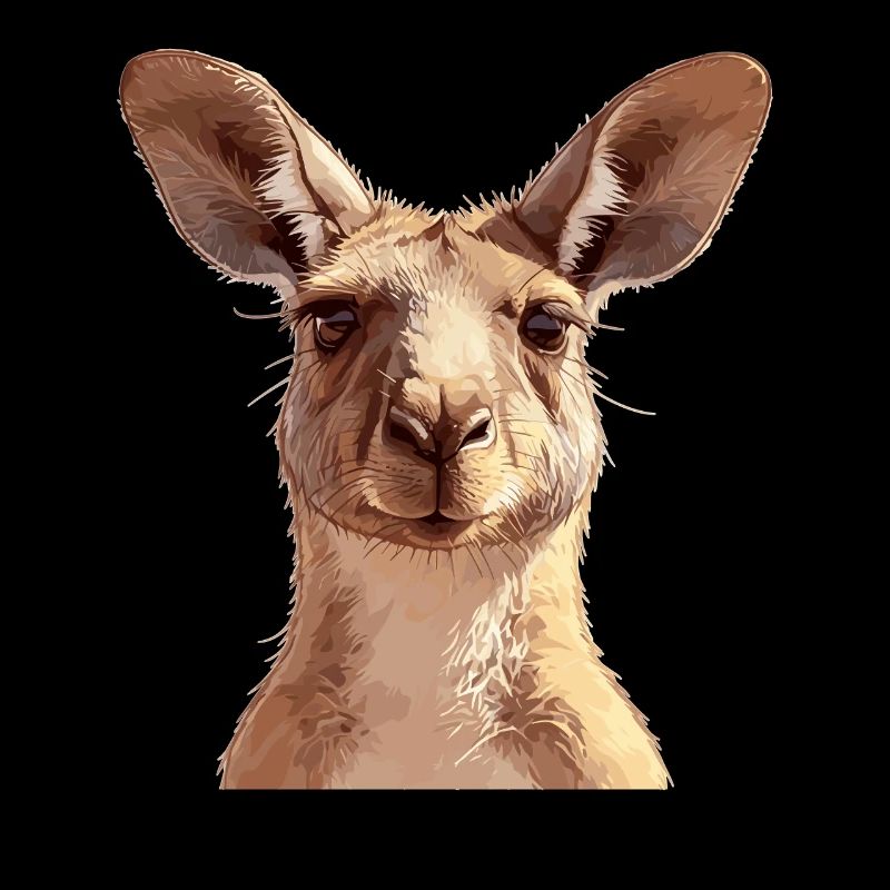 Kangourous Kangourou