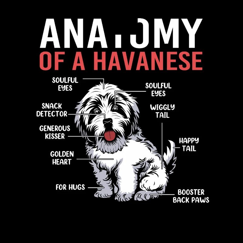 Havanais