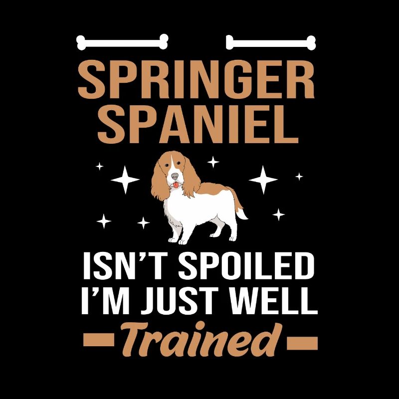 Épagneul springer