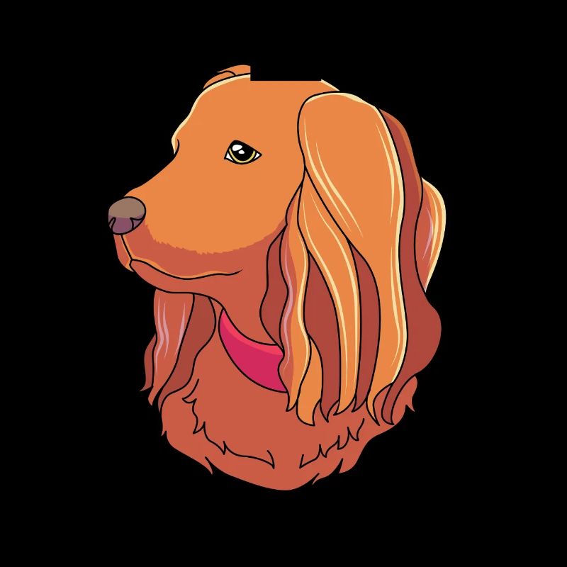Boykin Spaniel