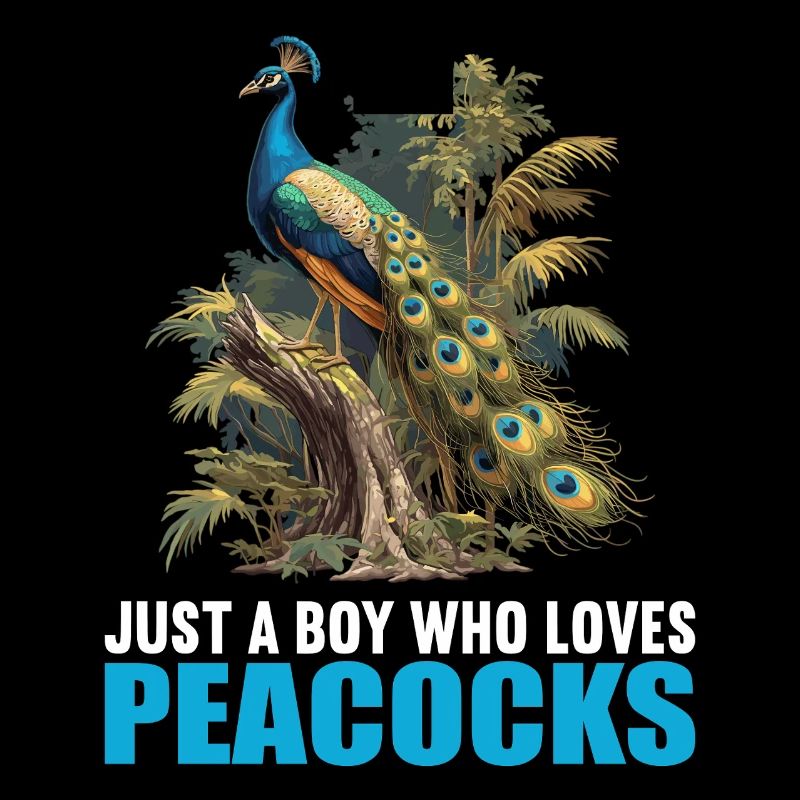 Pfaue Pfau