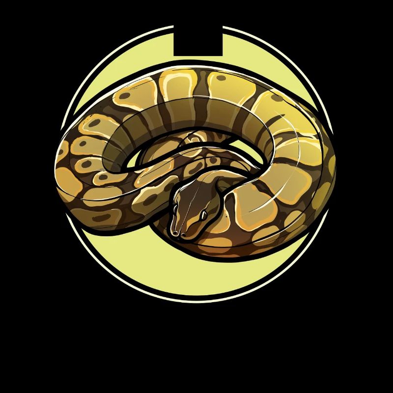 Ball Python King Python King Python