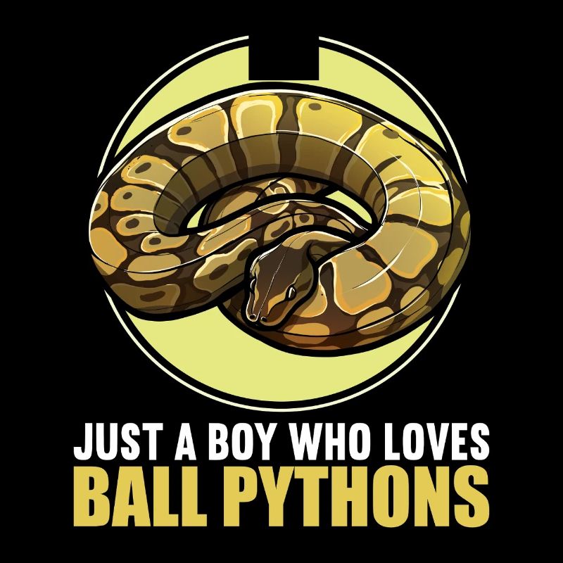 Ball Python King Python King Python