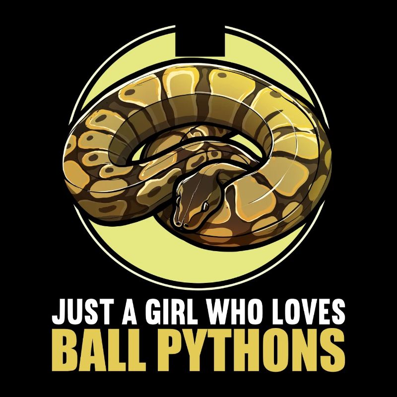Ball Python King Python King Python