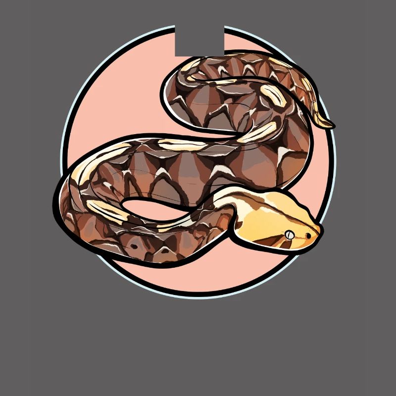 Gabon Vipers Gabon Vipers